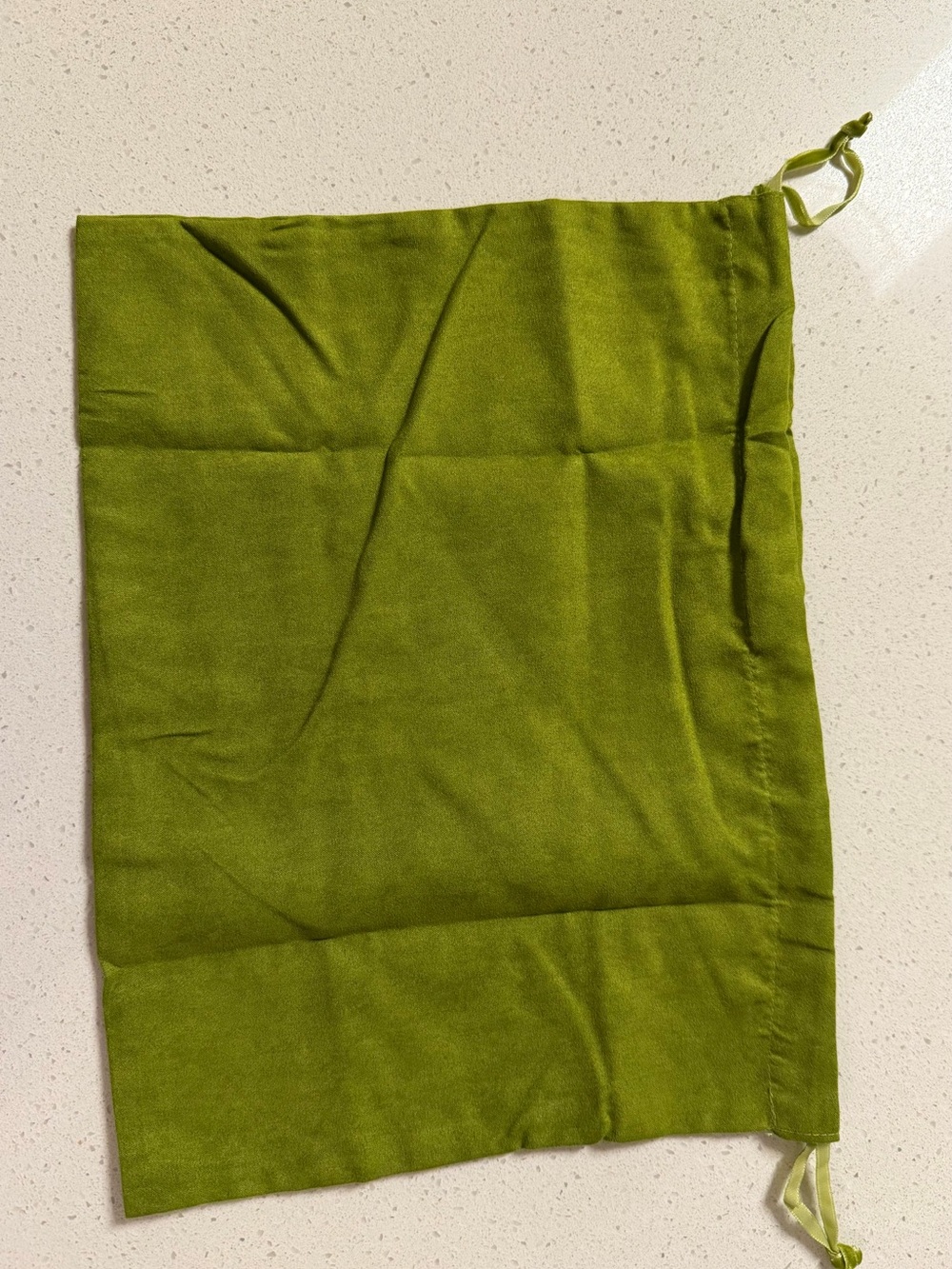 Tory Burch Olive Suede Logo Dust Pouch. Brand new. Measurements in pictures. - Picture 7 of 7